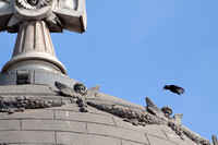 _MG_0419 9x6