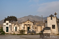 _MG_0486 9x6
