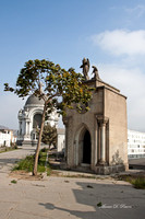 _MG_0423 9x6